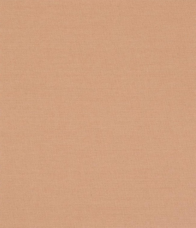 THE POWER OF CHANGE&nbsp;🦩